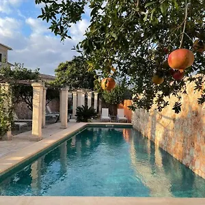 https://petit-hotel-algaida.allmallorcahotels.com