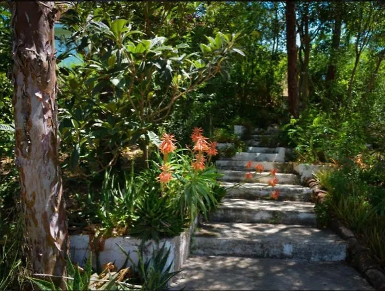 La Barranca De La Barca Bed & Breakfast Alora